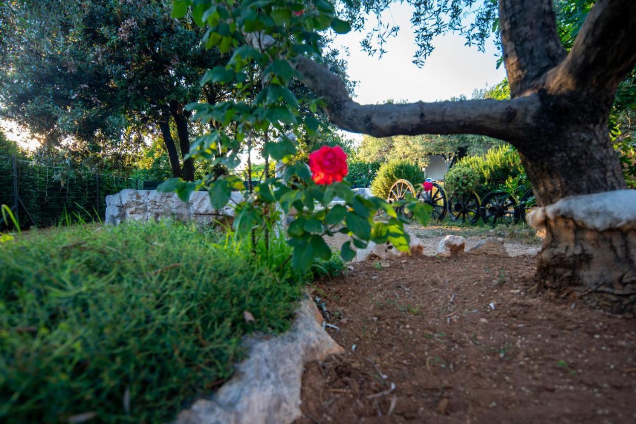 ביוגראד נה מורו Holiday House Cvita מראה חיצוני תמונה